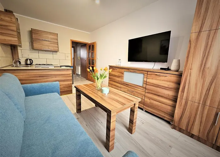 Apartament Haller